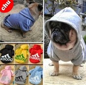 fantasias-roupas-para-cachorro-direto-da-china-marca